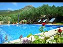Dovolenkovy dom Vojo - private swimming pool: H(4) Bol - Ostrov Brač  - Chorvátsko  - dom