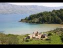 Dovolenkovy dom Lidija - Robinson House: H(2+2) Záliv Lovrečina (Postira) - Ostrov Brač  - Chorvátsko  - pláž