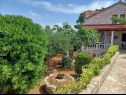 Dovolenkovy dom Lumos - panoramic view & olive garden: H(10) Postira - Ostrov Brač  - Chorvátsko  - zeleň