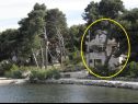 Apartmány Mili - seaview: A1(6+2) Veli Rat - Ostrov Dugi otok  - dom
