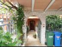 Apartmány Mondina - sea view and garden: A1(4), A2(3+1), SA3(2) Banjole - Istria  - dvor