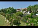 Dovolenkovy dom Gurianum - with pool: H(8) Vodnjan - Istria  - Chorvátsko  - kvetová záhradka/kvetinová plantáž (dom a okolie)