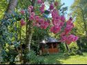 Dovolenkovy dom Riverside house - beautiful nature: H(6) Žumberak - Kontinentálne Chorvátsko - Chorvátsko  - kvety