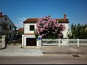 Apartmány Tonia - great location & afordable: A1(4+1), SA2(2) Mali Lošinj - Ostrov Lošinj  - dom