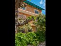 Apartmány Giuseppe - green terrace: A1(4) Mali Lošinj - Ostrov Lošinj  - dom