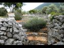 Dovolenkovy dom Sage - rustic dalmatian peace H(2+1) Trpanj - Poloostrov Pelješac  - Chorvátsko  - detail