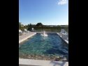 Apartmány Pool - swimming pool and grill A1(2+1), SA2(2), A4(2) Bibinje - Riviéra Zadar  - bazén