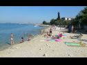 Apartmány Sor - on the beach: SA1(2+1), A1(4+1), A2(2+2), A3(2+2) Bibinje - Riviéra Zadar  - pláž