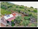 Dovolenkovy dom Smokovlje - sea view and vineyard H(4) Bol - Ostrov Brač  - Chorvátsko  - detail (dom a okolie)