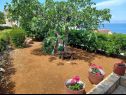 Dovolenkovy dom Lumos - panoramic view & olive garden: H(10) Postira - Ostrov Brač  - Chorvátsko  - záhrada
