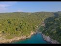 Dovolenkovy dom Irena - secluded paradise; H(4+1) Záliv Prapatna (Pucisca) - Ostrov Brač  - Chorvátsko  - vegetácia