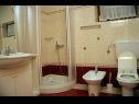 Apartmány DeMar - 70m from sea: A1-crveni(4), A2-zeleni(3), A3-plavi(3) Splitska - Ostrov Brač  - Apartmán - A1-crveni(4): kúpelňa s toaletou