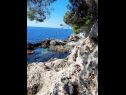 Apartmány Ana - cosy with sea view : A4(3+2), A5(3+2) Dubrovnik - Riviéra Dubrovnik  - pláž