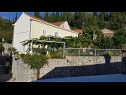 Dovolenkovy dom Villa Marija - terrace H(6) Trsteno - Riviéra Dubrovnik  - Chorvátsko  - dom