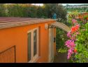 Apartmány Orange - garden terrace : SA1(2+1) Banjole - Istria  - dom