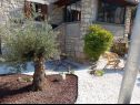 Dovolenkovy dom Bruna - rustic stone house : H(6) Kršan - Istria  - Chorvátsko  - záhrada