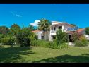 Dovolenkovy dom Martina - large luxury villa: H(8+2) Labin - Istria  - Chorvátsko  - dvor