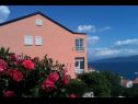 Apartmány Jenny - sea view: A1(2+2) Ravni - Istria  - dom