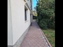 Apartmány Ena - with free private parking: A1 Anthea (2+2), A2 Floki (2+2) Rovinj - Istria  - záhrada