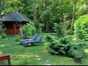 Dovolenkovy dom Riverside house - beautiful nature: H(6) Žumberak - Kontinentálne Chorvátsko - Chorvátsko  - vegetácia