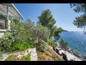 Dovolenkovy dom Momento - peaceful resort : H(10) Blato - Ostrov Korčula  - Chorvátsko  - pohľad