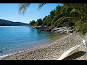 Dovolenkovy dom Senka1 - pure nature & serenity: H(2) Záliv Tudorovica (Vela Luka) - Ostrov Korčula  - Chorvátsko  - pláž