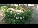 Apartmány Dorica - flower garden A1(4) Krk - Ostrov Krk  - záhrada