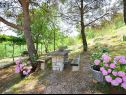 Dovolenkovy dom Brane - relaxing in nature: H(9) Zaton (Šibenik) - Riviéra Šibenik  - Chorvátsko  - záhrada