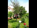 Apartmány Nika - nice garden: A1(2), A2(4+1), A3(6), A4(2) Nin - Riviéra Zadar  - záhrada (dom a okolie)