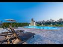 Dovolenkovy dom Oasis Village Villa - heated pool : H(6+2) Privlaka - Riviéra Zadar  - Chorvátsko  - bazén