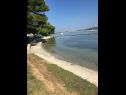 Apartmány Andy - only 50 m from beach: A1(3+1), A2(2+1), SA1(2) Sukošan - Riviéra Zadar  - pláž