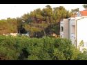 Apartmány VINK - 80 m from beach A2(4), A3(4), A4(4) Vir - Riviéra Zadar  - Apartmán - A4(4): pohľad (dom a okolie)