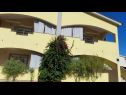 Apartmány Vanja - terrace & BBQ A1(4+2), A2(4+1) Vir - Riviéra Zadar  - dom