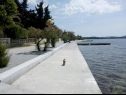 Apartmány Franka - 70 m from sea: A1(6) Zadar - Riviéra Zadar  - detail