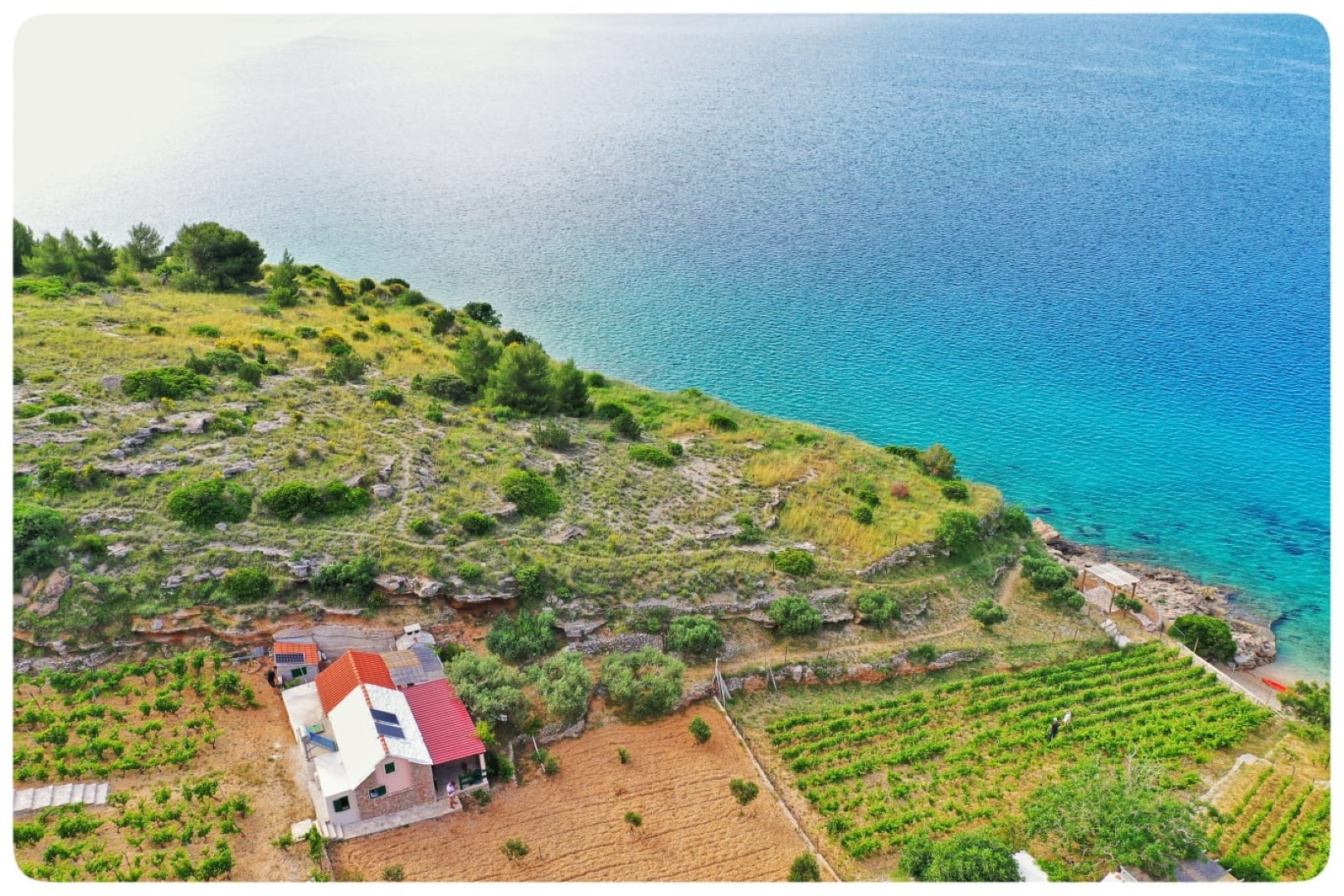 Dovolenkovy dom Smokovlje - sea view and vineyard H(4) Bol - Ostrov Brač  - Chorvátsko 